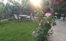 House With Garden Netflix